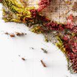 California Map1916, Geology :Shaded relief map – flat print (not a 3D raised map)