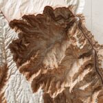 Grand Canyon National Park Map 1927, Topography :Shaded relief map – flat print (not a 3D raised map)