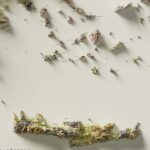 Greece Map 1965 :Shaded relief map – flat print (not a 3D raised map)