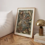 Batrachia :Ernst Haeckel