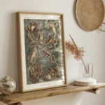 Batrachia :Ernst Haeckel