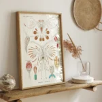 Copepoda