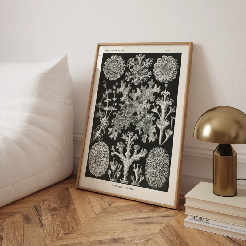 Lichenes :Ernst Haeckel