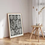 Lichenes :Ernst Haeckel
