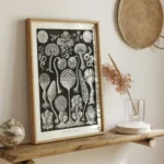 Mycetozoa :Ernst Haeckel