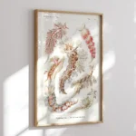 Nudibranchia :Ernst Haeckel