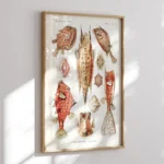 Ostraciontes :Ernst Haeckel