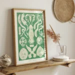 Platodes :Ernst Haeckel