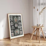 Stephoidea :Ernst Haeckel
