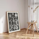 Thoracostraca :Ernst Haeckel