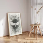 Tineida