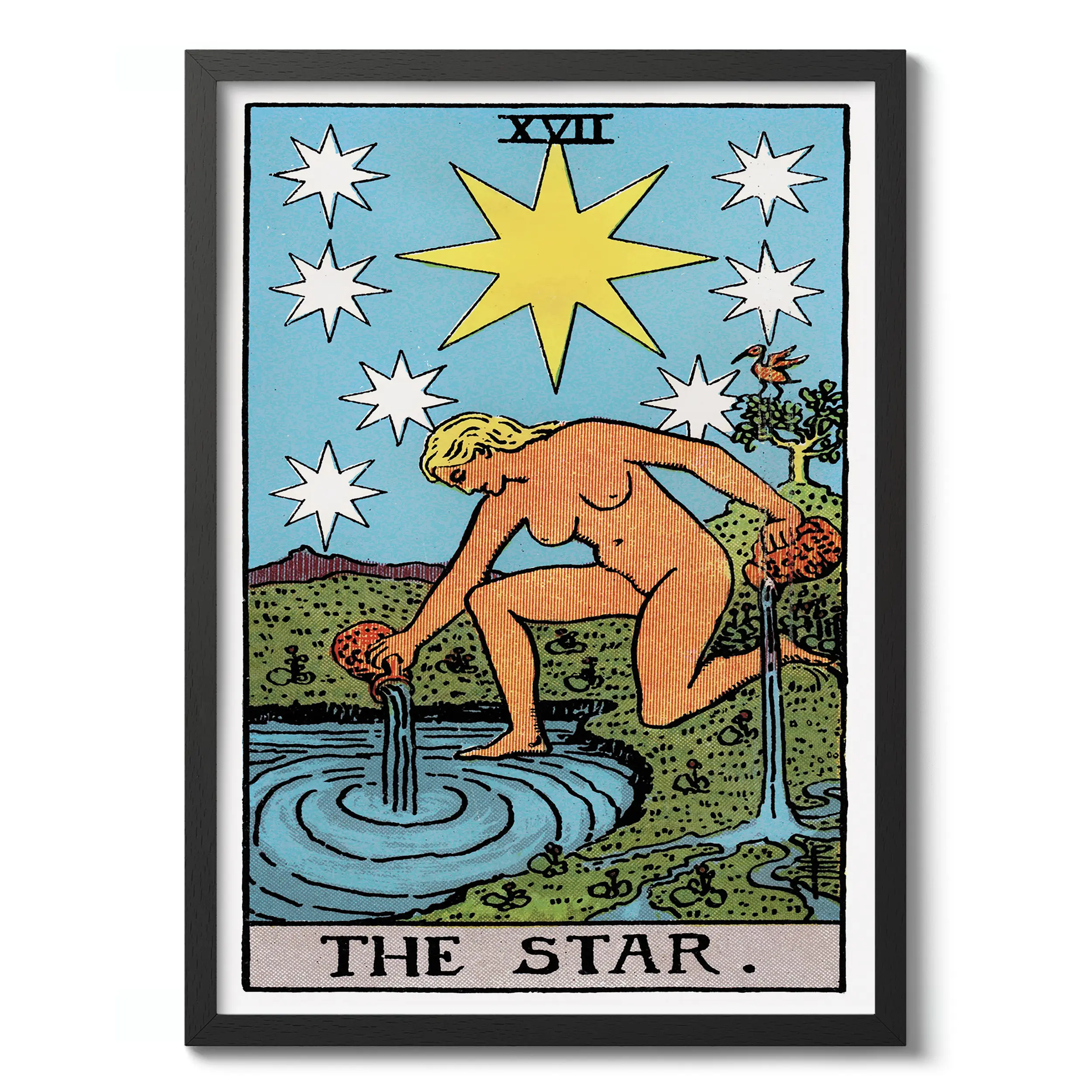 The Star :Tarot Card